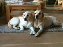 Juna und Eila von der Zauberschmiede