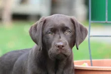 Wenja Bella von der Zauberschmiede