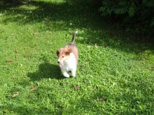 Charlie am 09.08.2017