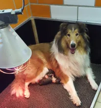 Fenna von der Zauberschmiede