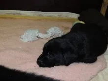 Man macht es sich bequem