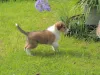 Charlie am 09.08.2017