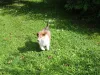 Charlie am 09.08.2017